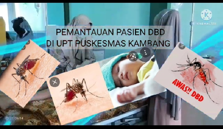 Tim Kesehatan Puskesmas Kambang melakukan pemantauan jentik nyamuk Aedes Aegypti